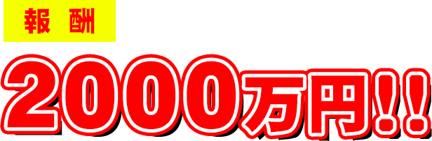 報酬2000万円!!